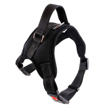 Adjustable Dog Harness | Dog Harness with Handle | Glampup