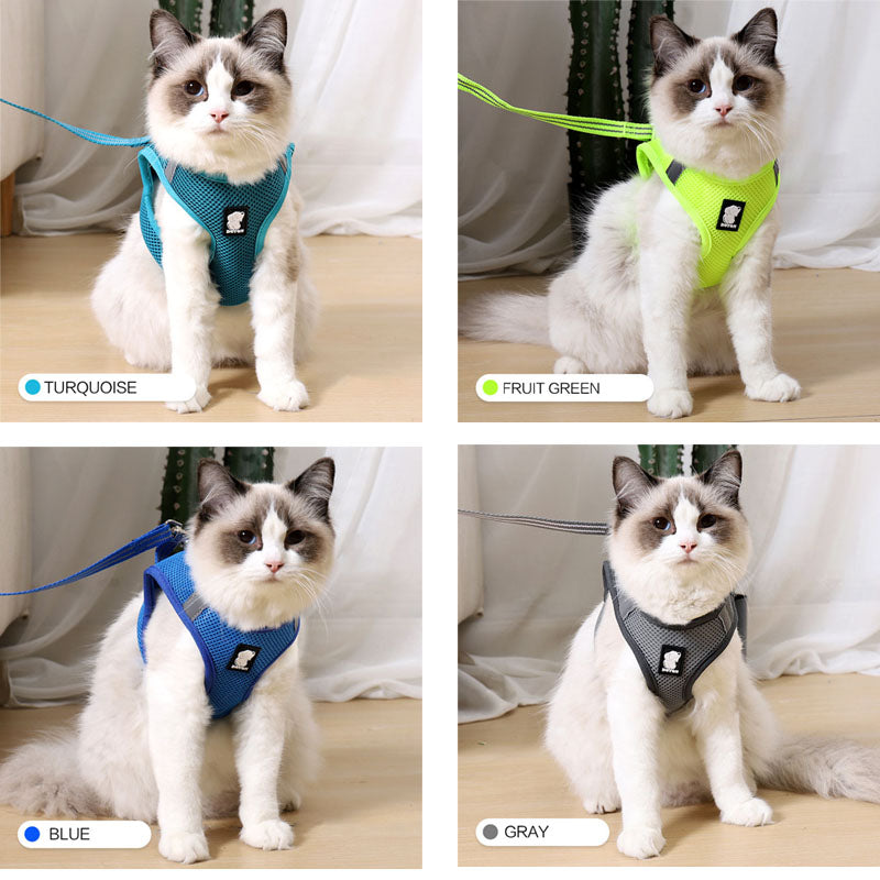 Cat Harness and Leash | Kitten Harness and Leash | Glampup