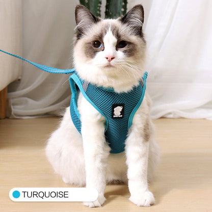 Cat Harness and Leash | Kitten Harness and Leash | Glampup