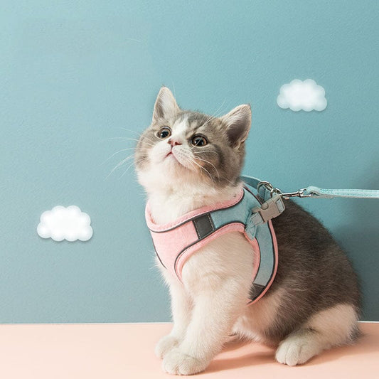 Adjustable Cat Harness Set | Cat Harness Set | Glampup