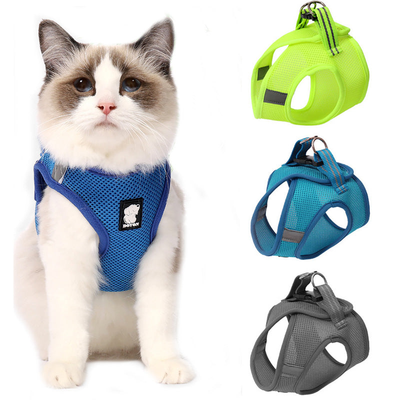 Cat Harness and Leash | Kitten Harness and Leash | Glampup