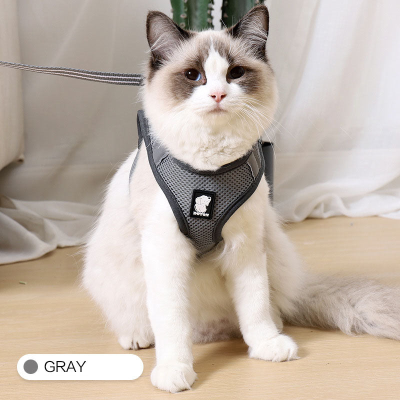 Cat Harness and Leash | Kitten Harness and Leash | Glampup