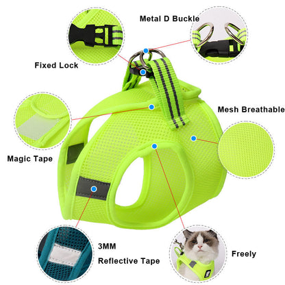 Cat Harness and Leash | Kitten Harness and Leash | Glampup