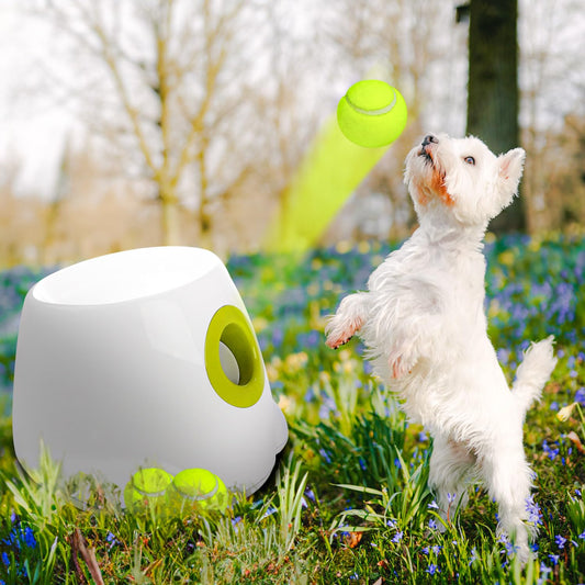 Automatic Ball Launcher | Dog Ball Launcher | Glampup