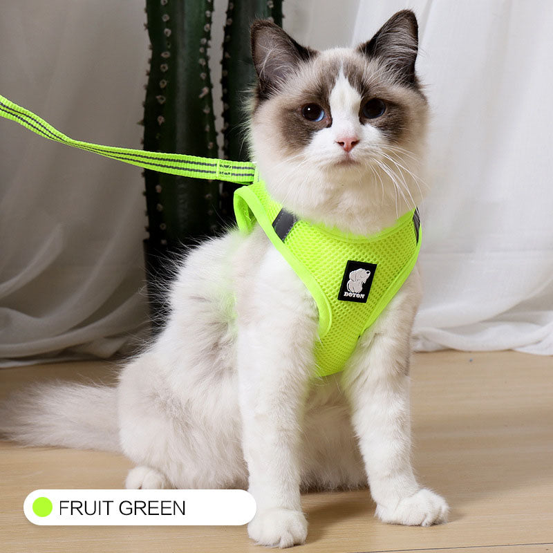 Cat Harness and Leash | Kitten Harness and Leash | Glampup