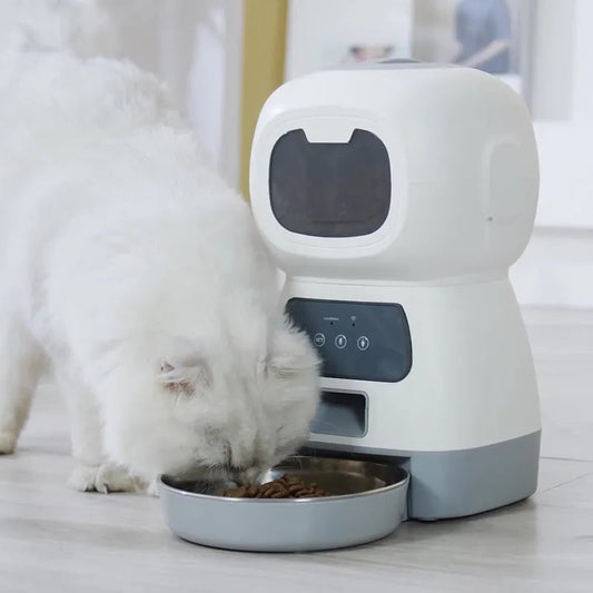 Automatic Pet Feeder | Pet Feeder | Glampup